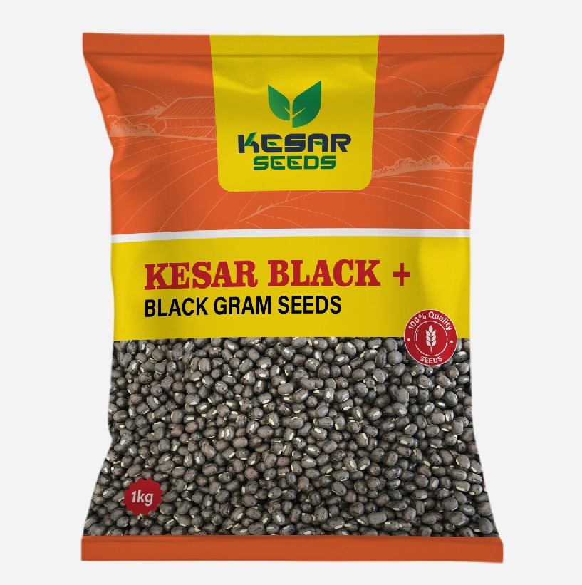 KESARBLACKPLUS